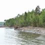 Stewart River