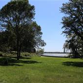 Nokomis Naturescape Garden