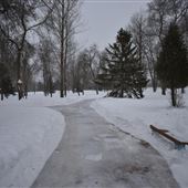 Hibbing in the Snow