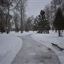 Hibbing in the Snow