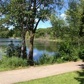 Marydale Park