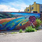 District del Sol Murals
