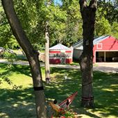 Swan Lake Resort & Campground