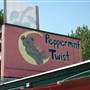 Peppermint Twist Drive In