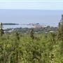 Pincushion Mountain Trail System