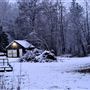 Wiiliainen Woods