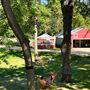 Swan Lake Resort & Campground