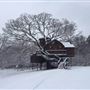 Hope Glen Farm & Treehouse