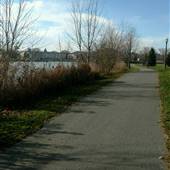 Mill Pond Scenes