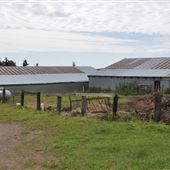 Lake View Dairy Farm