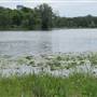 Lake of the Isles