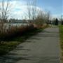 Mill Pond Scenes