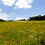 Ritter Farm Park