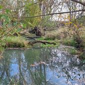 Roberts Bird Sanctuary
