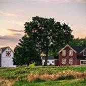 Berry Hill Farm