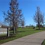 Longfellow Gardens