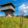 Sibley State Park