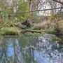 Roberts Bird Sanctuary