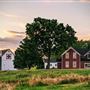 Berry Hill Farm