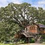 Hope Glen Farm & Treehouse
