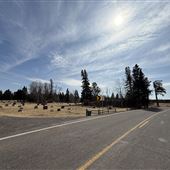 Saint Joseph Cemetery