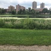 Loring Park