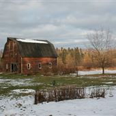 Shaminski Farm