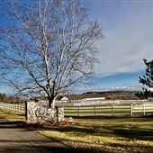 Spring Hill Ranch