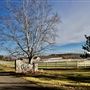 Spring Hill Ranch