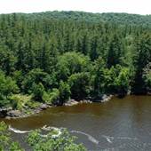 MN Rivers