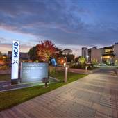 Minneapolis College of Art and Design