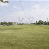 Gutzwiller Park