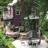 Little Purple House