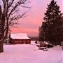 Cook Farm