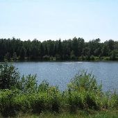 Big Bog State Recreation Area