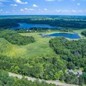 Forest Lake