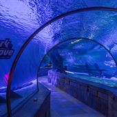 SEA LIFE at Mall of America