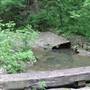 Hidden Falls Regional Park