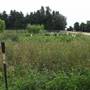 Community Gardens - Woodson Kindergarten