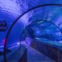 SEA LIFE at Mall of America