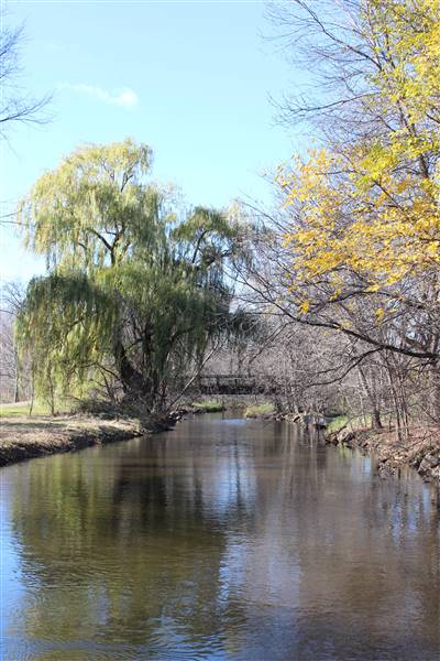 Lake Nokomis Park