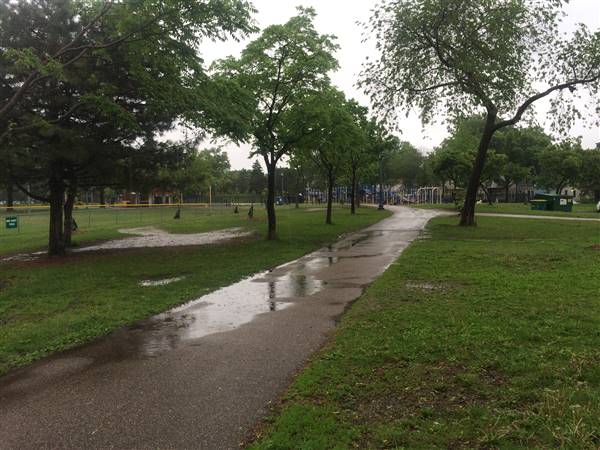 Stewart Park