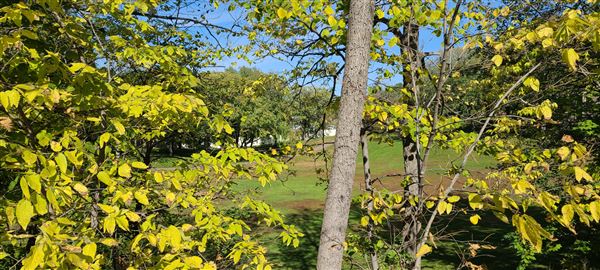 Lyndale Farmstead Park