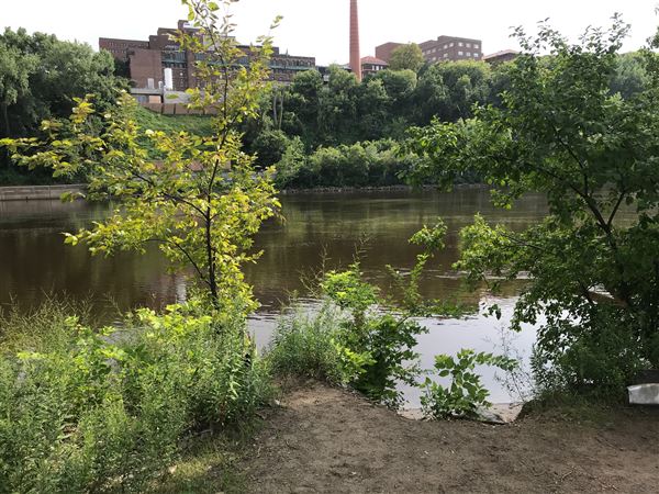 East River Flats Park
