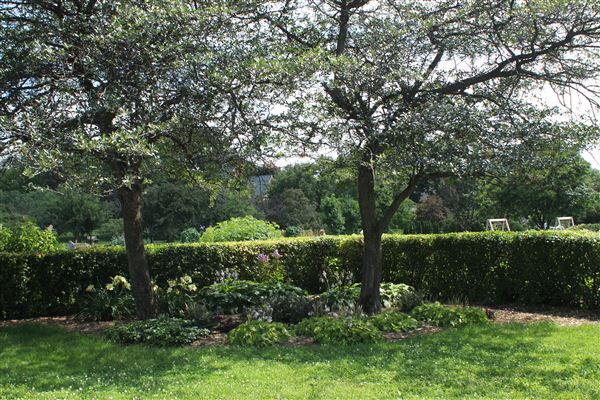 Lyndale Park Rose Garden