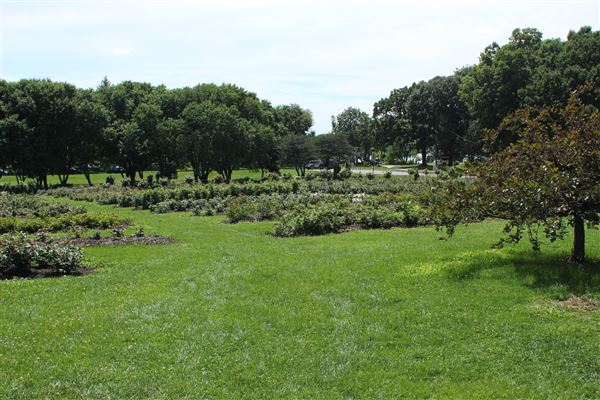 Lyndale Park Rose Garden
