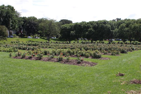 Lyndale Park Rose Garden